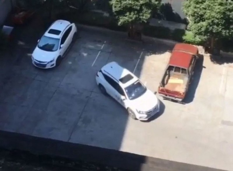Численні спроби китайця припаркуватися насмішили Мережа (ВІДЕО)