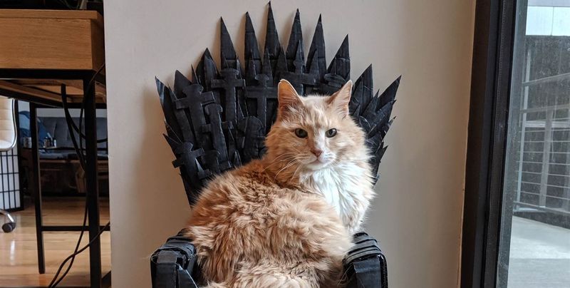 Американець зробив для свого кота "Залізний трон" (Фото)