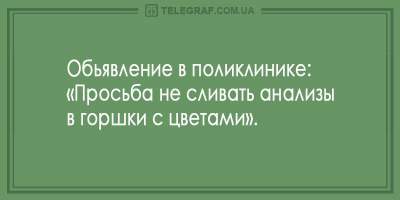 Свежие анекдоты о наглых кавалерах и чувствительных медиках