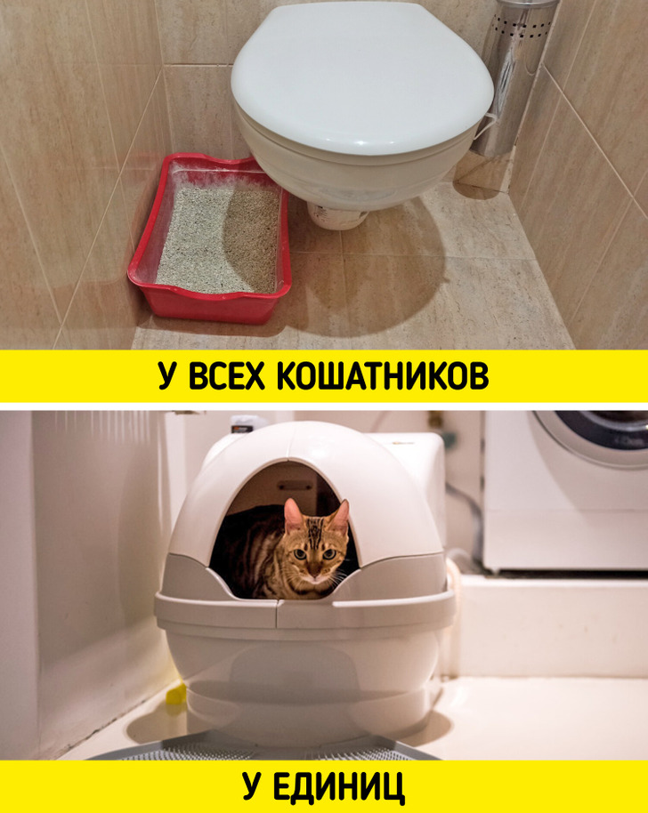 Речі, на які варто один раз розщедритися, щоб потім радіти і ні про що не шкодувати