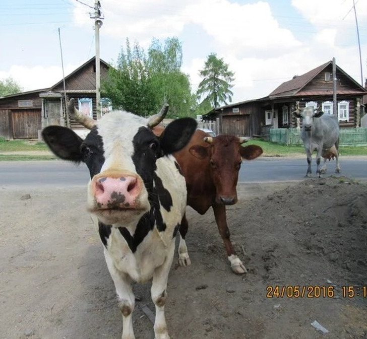 Фото, які вмить перенесуть вас у літо, де мешкає щастя