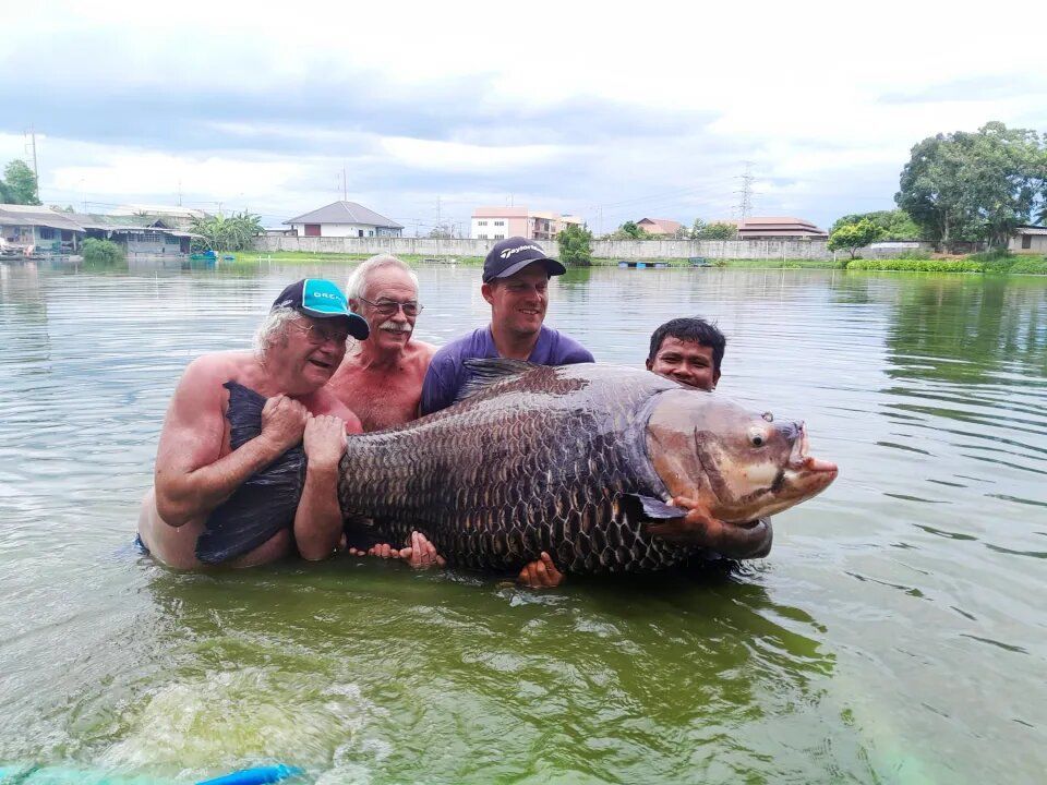 Чоловік упіймав найбільшого у світі коропа / Фото: SUPPLIED / © 