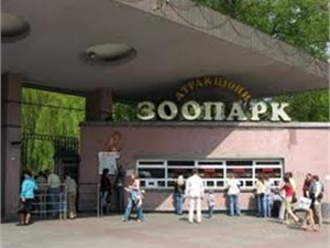 Европейские защитники животных будут добиваться закрытия Киевского зоопарка 