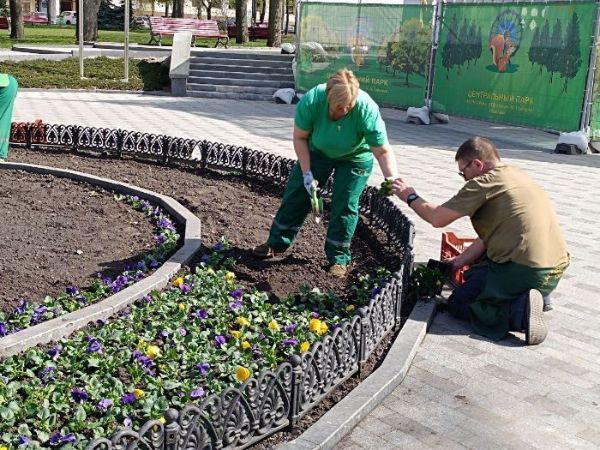 У саду Шевченка в Харкові  садять квіти (фото)