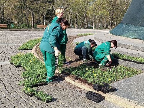 У саду Шевченка в Харкові  садять квіти (фото)