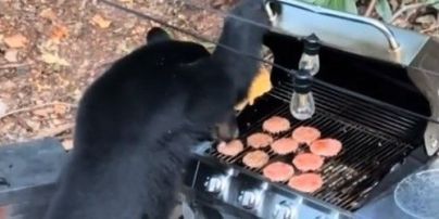 Зіпсував посиденьки: ведмідь завітав на барбекю, з'їв усе м'ясо і випив колу – відео