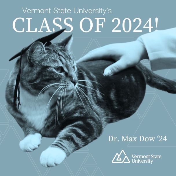 Університет Вермонту надав почесне звання коту на прізвисько Макс. Фото: Vermont State University/Facebook / © 