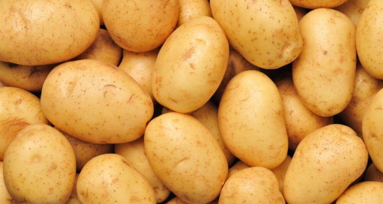 П’ять вагомих причин не відмовлятися від картоплі