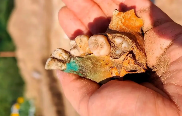 У Польщі археологи знайшли поховання дітей-“вампірів”