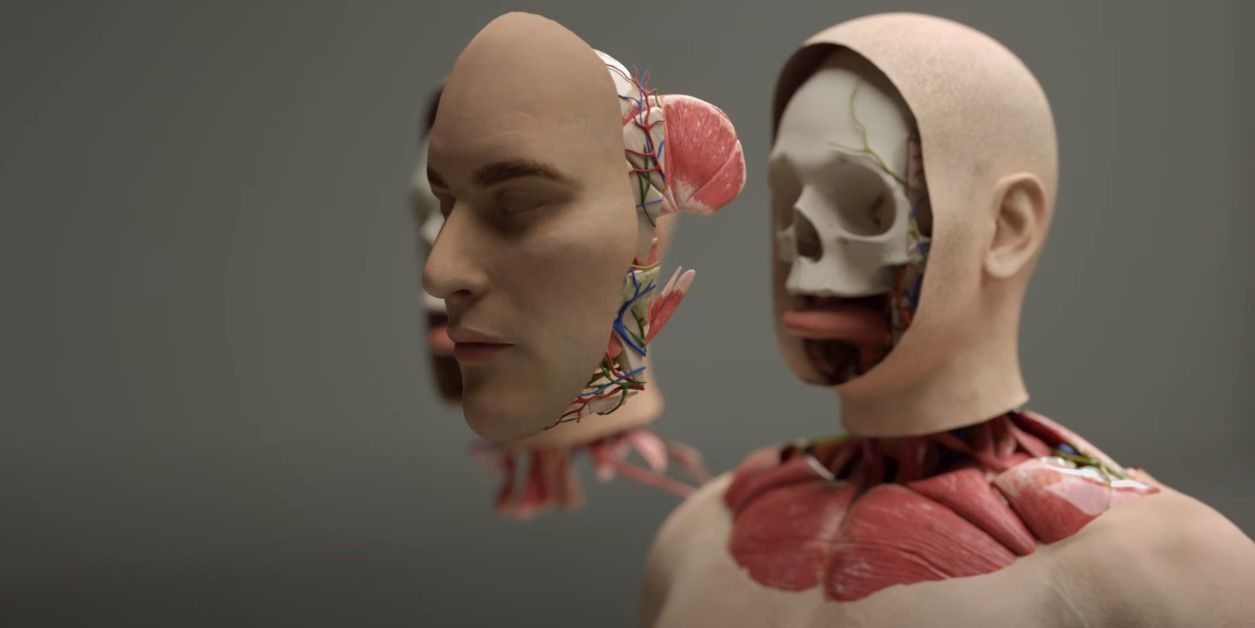 Перша в світі система трансплантації голови / Фото: BrainBridge / © 