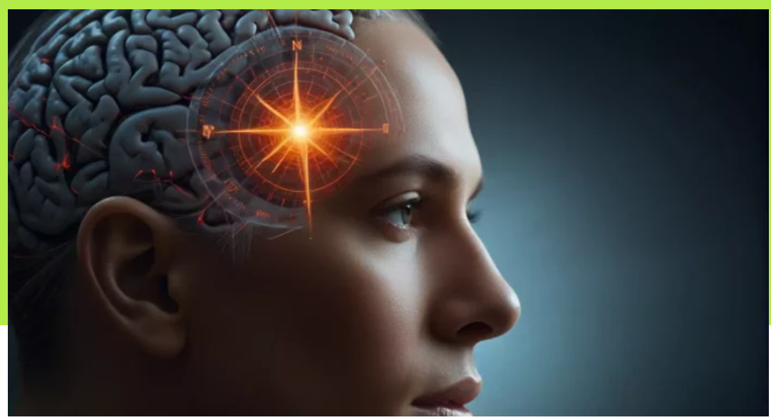 Ученые обнаружили в человеческом мозге «симулятор» будущих событий