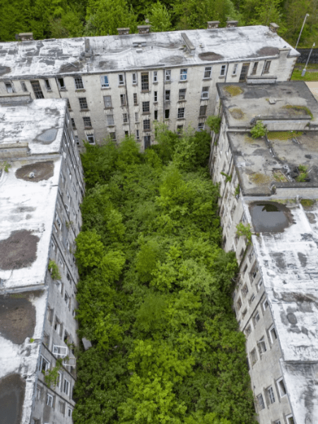 Город-призрак, жилой массив Парк Клун в Великобритании, второй Чернобыль, туризм, путешествия, фото, заброшенные места