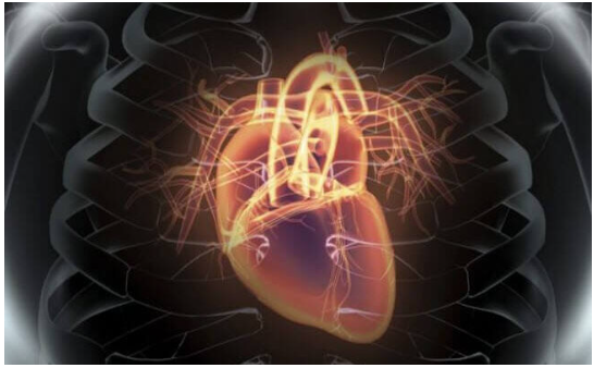 Три види фізичної активності для захисту серця