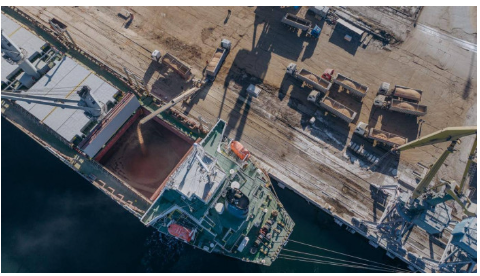 Українським морським коридором експортовано 55 млн тонн вантажів