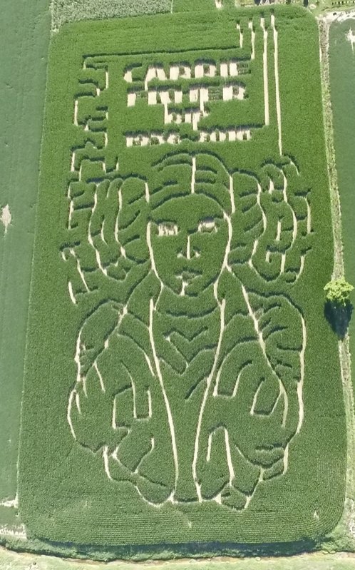 Американский фермер создал портрет принцессы Леи из «Звездных войн» на кукурузном поле