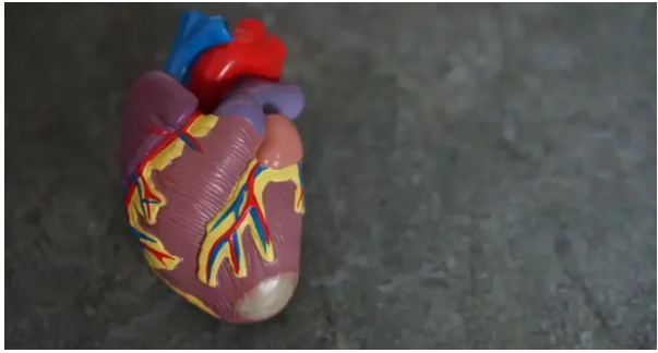 Как восстановить сердце после инфаркта: полезные советы врачей