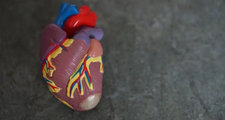 Як відновити серце після інфаркту: корисні поради лікарів