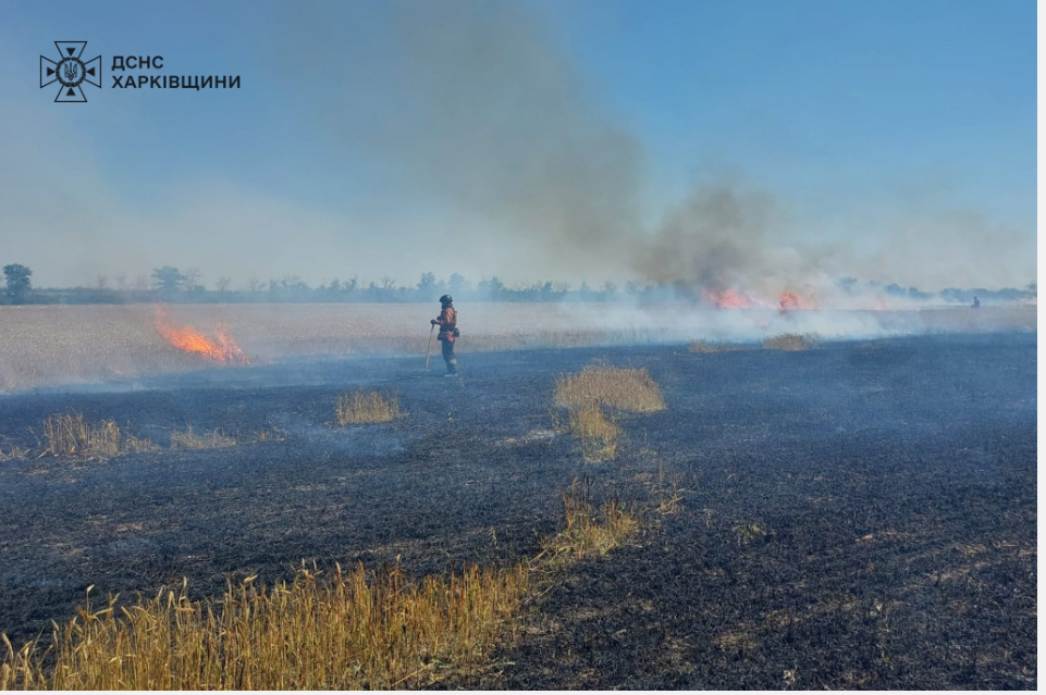 У Курилівці від обстрілу згоріло 20 га пшеничного поля