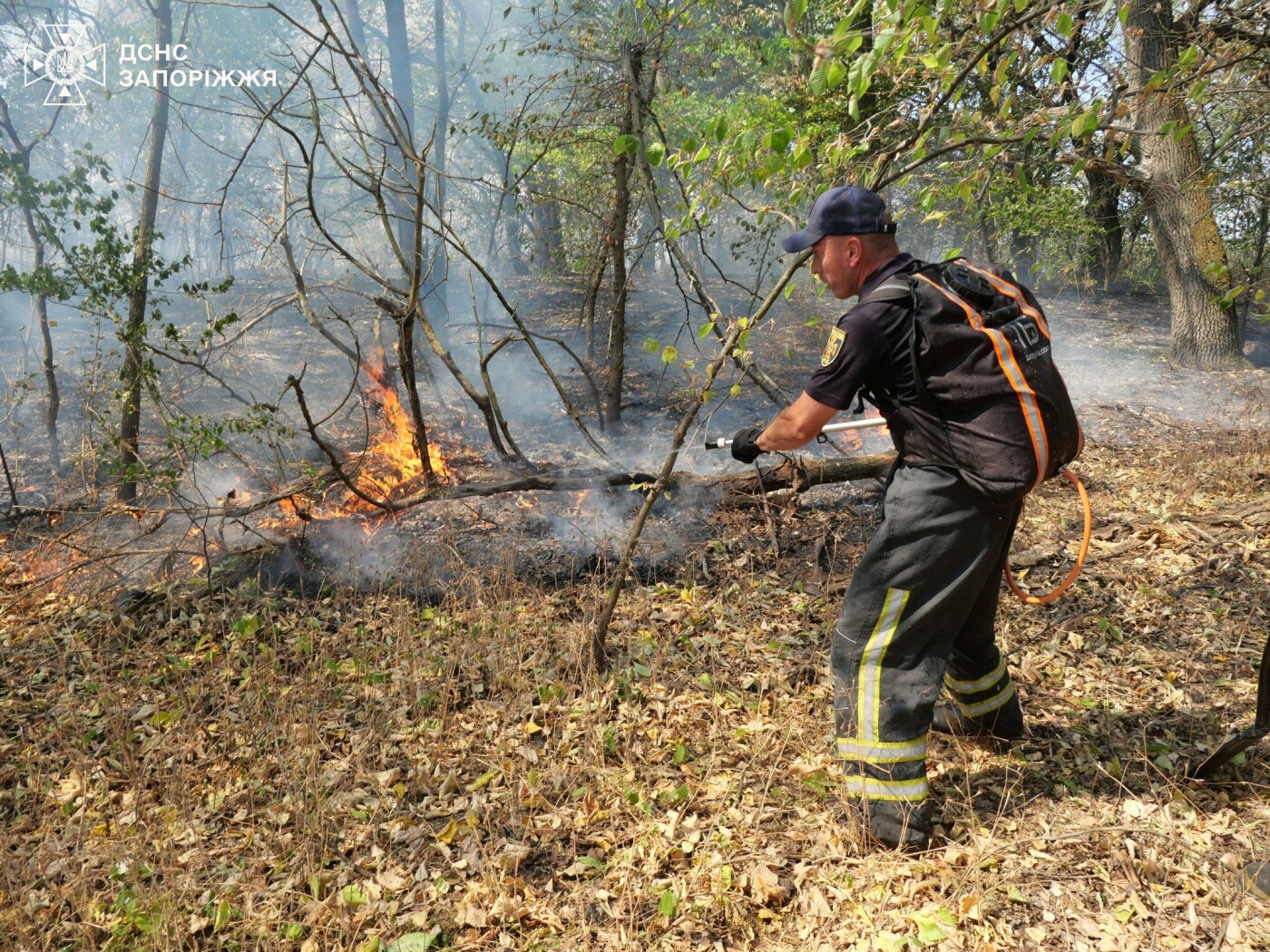 Запорізькі рятувальники ліквідували декілька займань на Хортиці