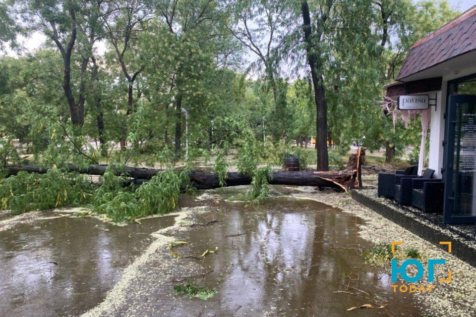 В Измаиле прошел дождь и ураганный ветер, в районе слышен гром (ФОТО)