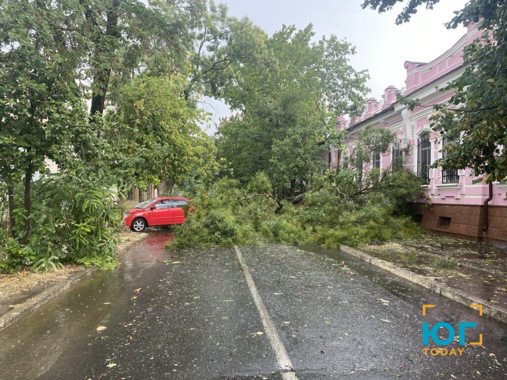 В Ізмаїлі пройшов дощ та ураганний вітер, в районі чутно грім (ФОТО)