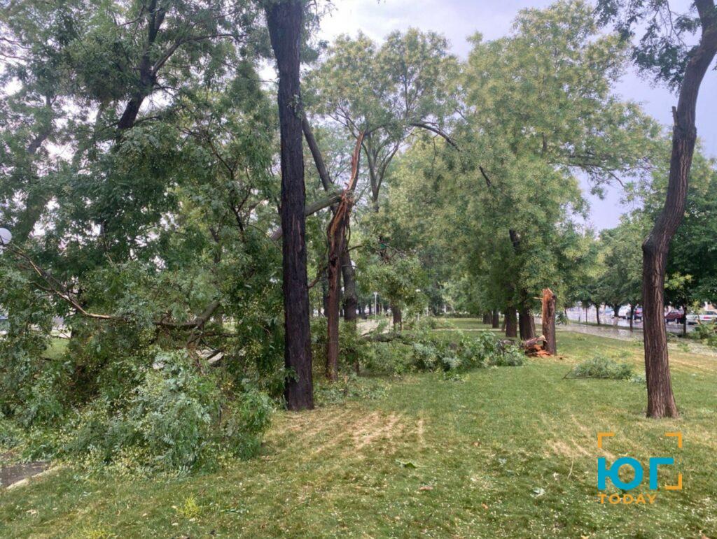 В Ізмаїлі пройшов дощ та ураганний вітер, в районі чутно грім (ФОТО)