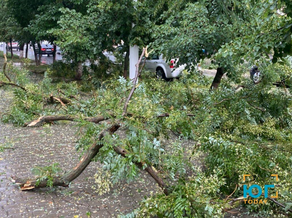 В Ізмаїлі пройшов дощ та ураганний вітер, в районі чутно грім (ФОТО)