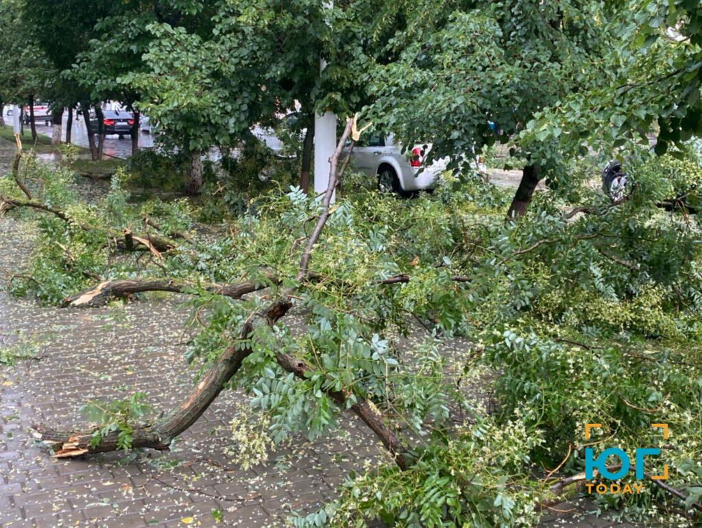 В Измаиле прошел дождь и ураганный ветер, в районе слышен гром (ФОТО)