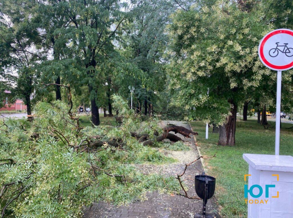 В Ізмаїлі пройшов дощ та ураганний вітер, в районі чутно грім (ФОТО)