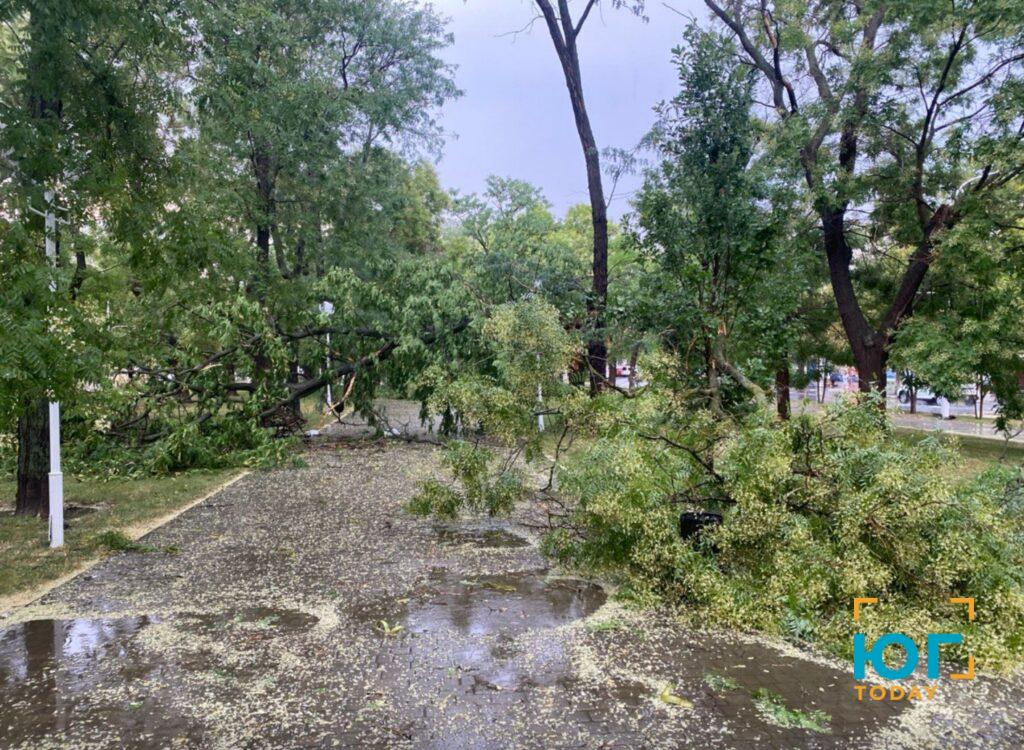 В Измаиле прошел дождь и ураганный ветер, в районе слышен гром (ФОТО)