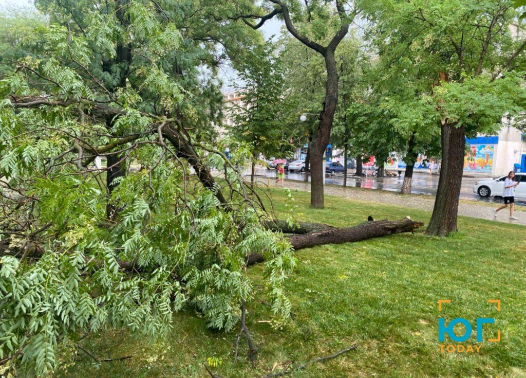 В Ізмаїлі пройшов дощ та ураганний вітер, в районі чутно грім (ФОТО)