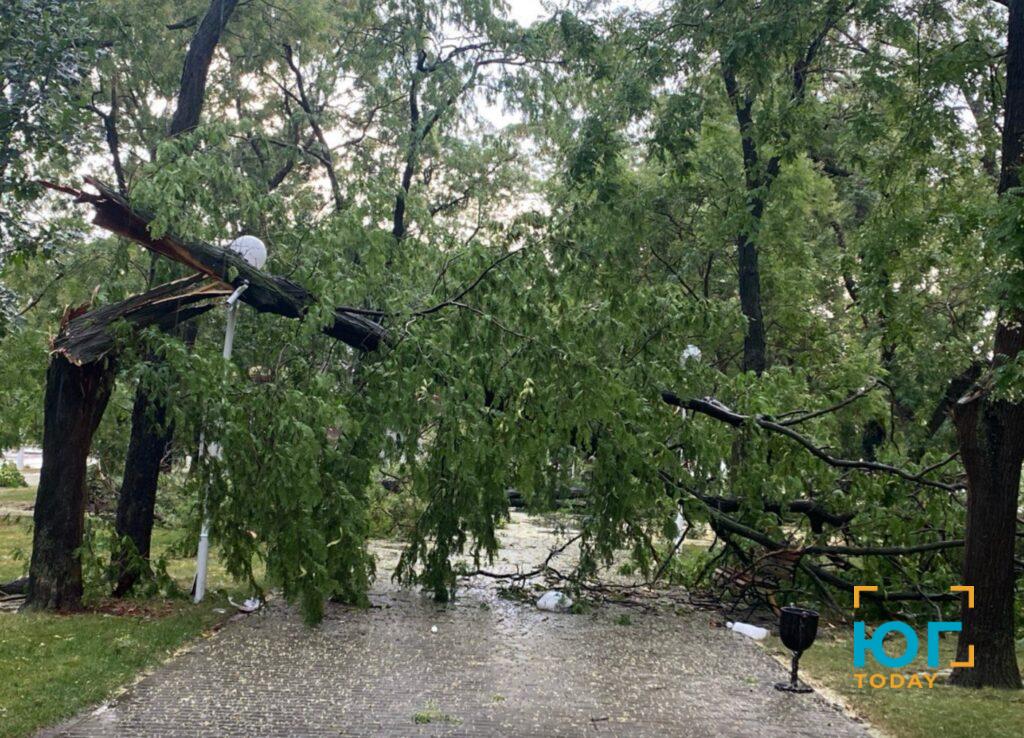 В Ізмаїлі пройшов дощ та ураганний вітер, в районі чутно грім (ФОТО)