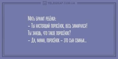 "Хобби - лежать на диване": смешные приколы из реальной жизни