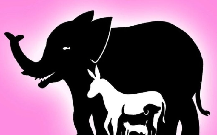 Интересная оптическая иллюзия: найдите за 10 секунд 9 животных. Читайте ...