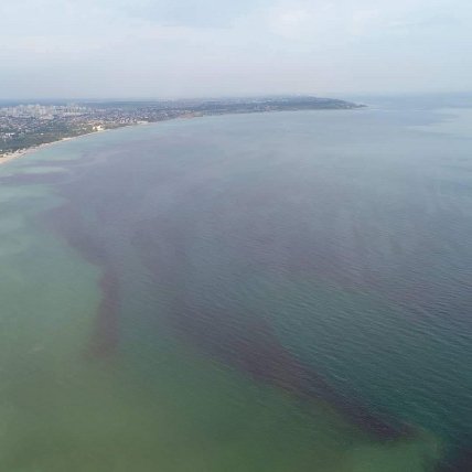 В Одесі море стало бурим: що там відбувається (фото)