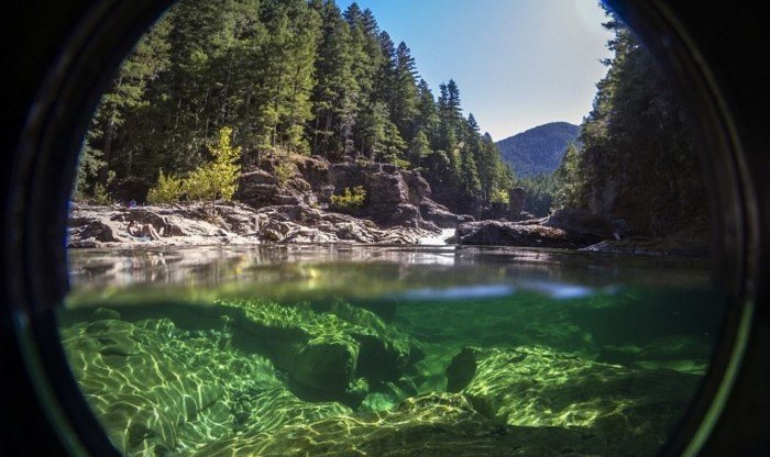 На границе воды и воздуха