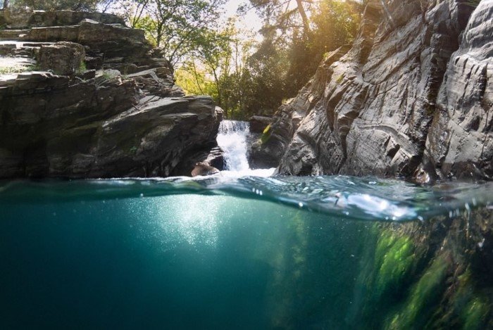 На границе воды и воздуха