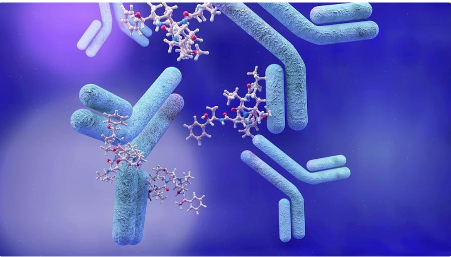 Eledon Pharmaceuticals розробила «ідеальний» імуносупресант, який вирішить проблеми трансплантологів