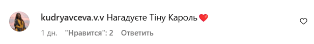 Молода дружина Павліка показала свою трансформацію у Тіну Кароль