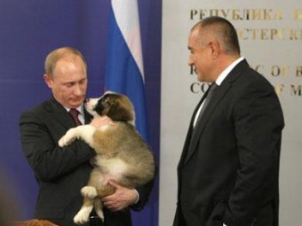 Владимир Путин принимает в подарок щенка