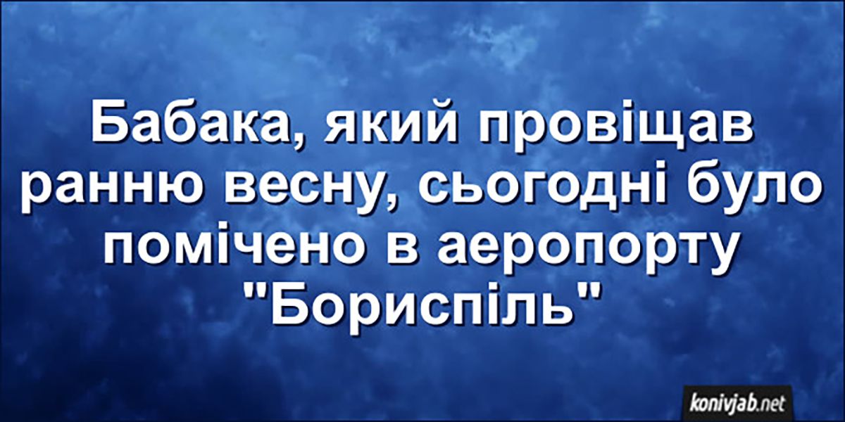 Этот пушистый синоптик знает все - подборка мемов о сурке - фото 682640