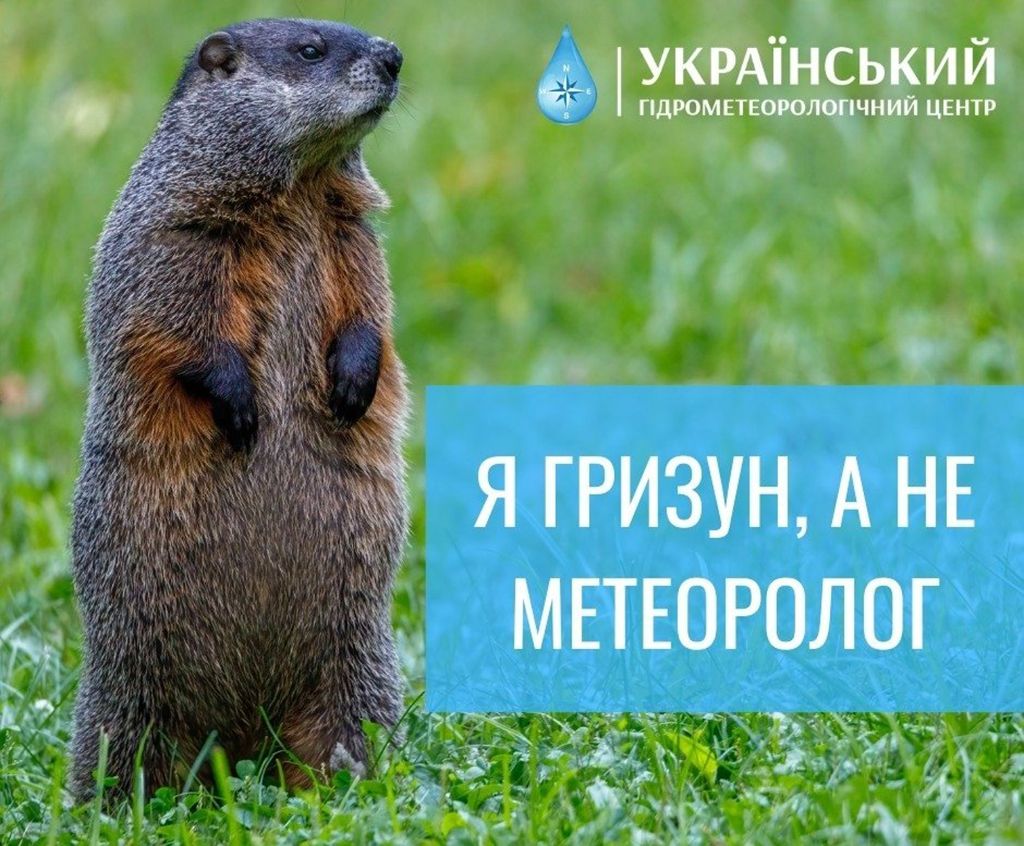 Этот пушистый синоптик знает все - подборка мемов о сурке - фото 682641