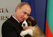 Путину предложили назвать щенка Азаровым  