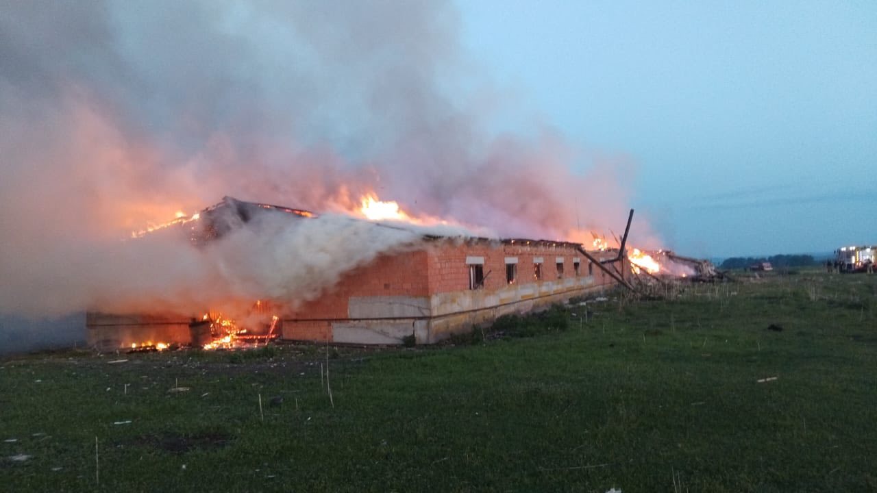 Росіяни ударами БпЛА вбили сотні свійських тварин на Сумщині