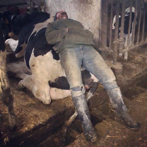 Безглузді фотки людей, готових спати, будь-де