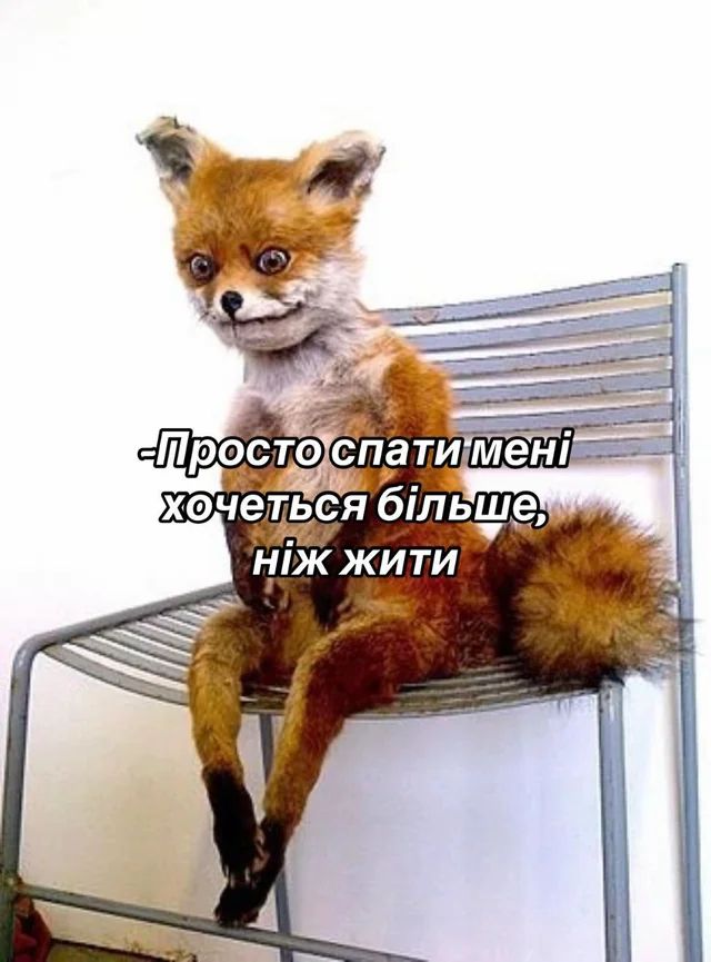 Меми про шахеди та ракети: чорний гумор, як стиль життя українців - фото 740178