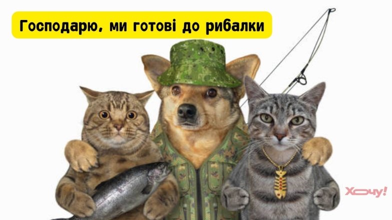 День рибалки - прикольні жарти та смішні картинки