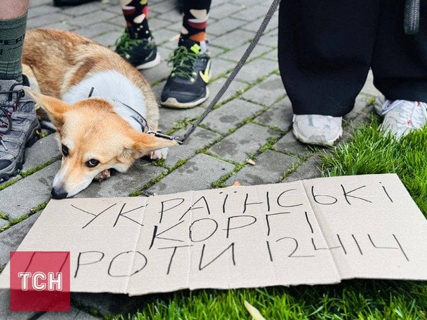 Протести проти закону щодо САП і НАБУ / © ТСН
