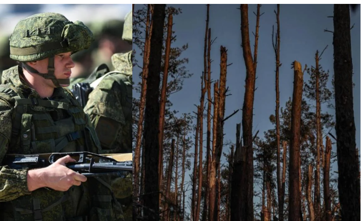 Росіяни просунулись в Серебрянському лісі, - DeepState