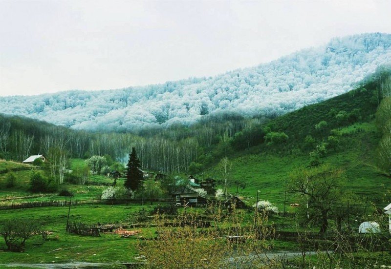 Удивительные фотографии, сделанные без фотошопа